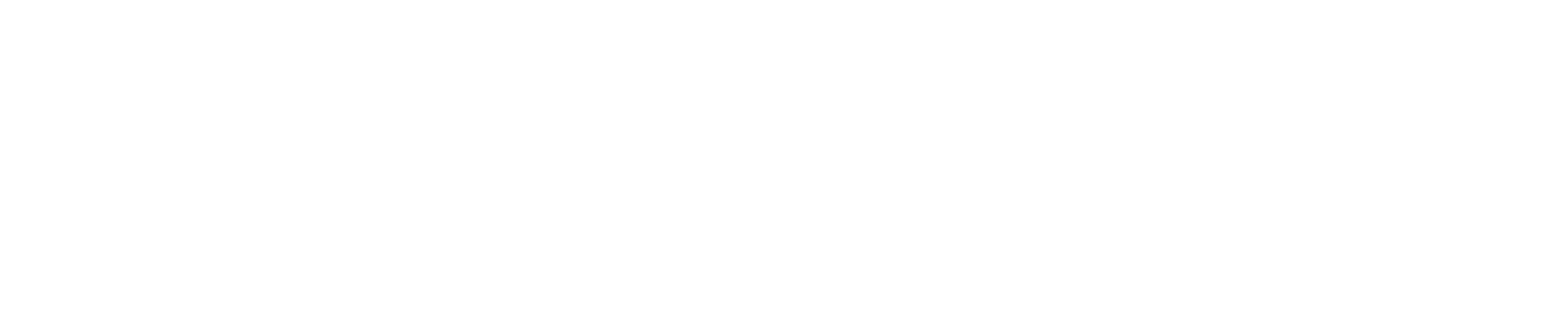Farias Insurance Solutions